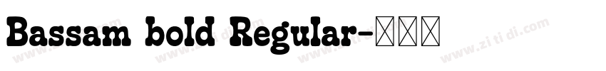 Bassam bold Regular字体转换 Bassam bold Regular字体转换